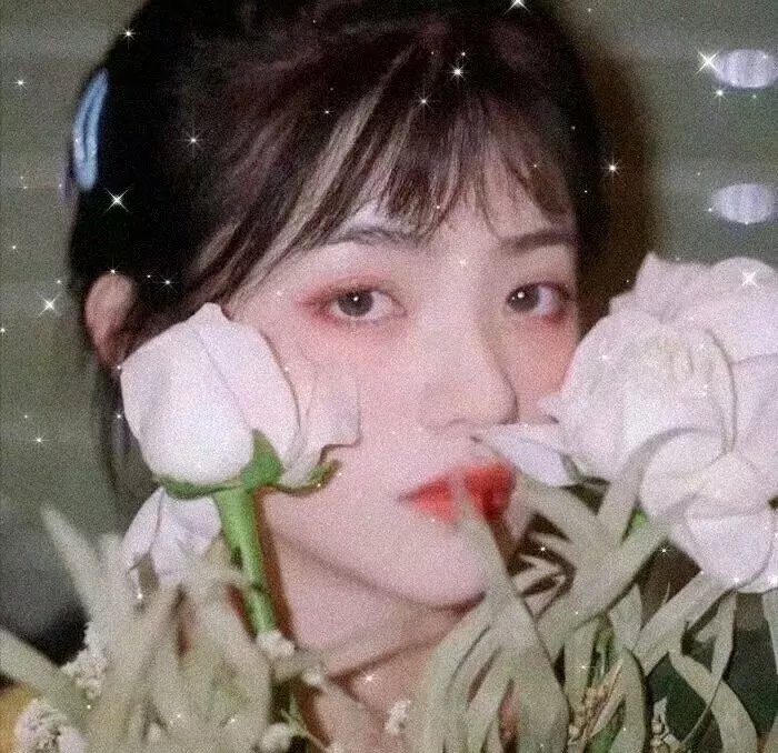 美洲风情